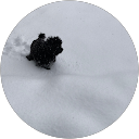 M Mori profile picture