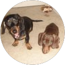 Linda Yee profile picture