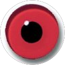 Jason McGill profile picture