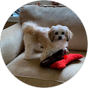 Melissa Olson profile picture